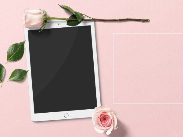 ipad blank, rose, mockup, premade scene, box write, leaves, ebook, show, author, ebook, rose flower, ebook, nature, ebook, ebook, ebook